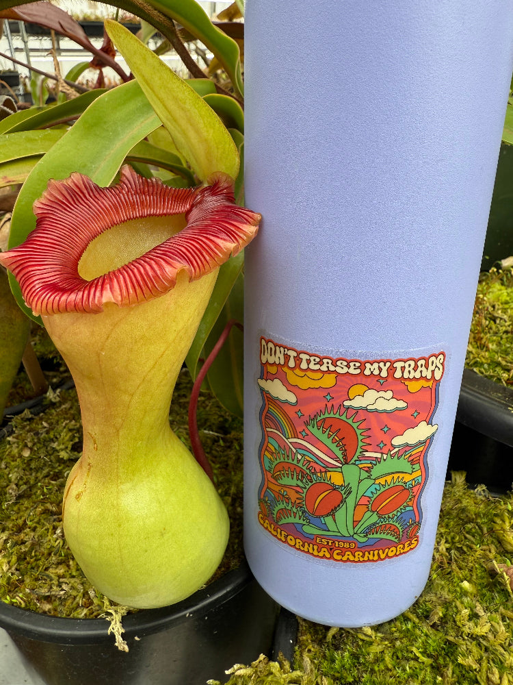 Purple water bottle with colorful flytrap sticker next to Nepenthes pitcher