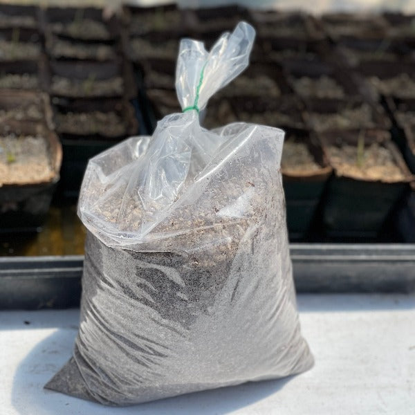 A sealed plastic bag filled with soil mix, labeled for California Carnivores Dewy Pine plants, placed on a gardening bench.