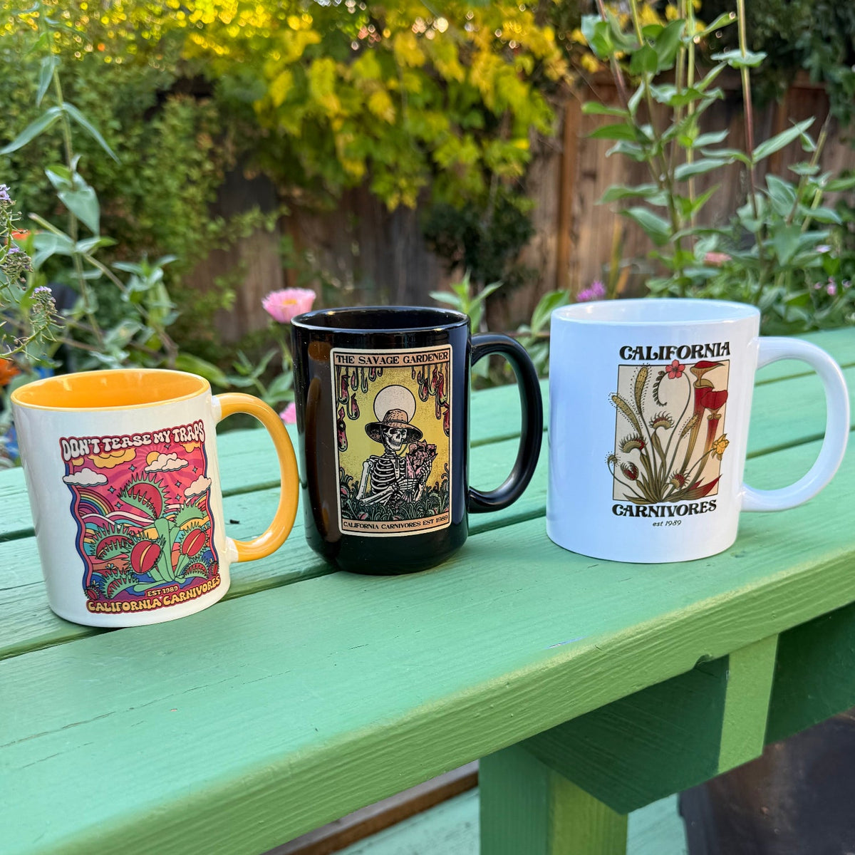 Three California Carnivores mugs sitting on a green bench in a backyard