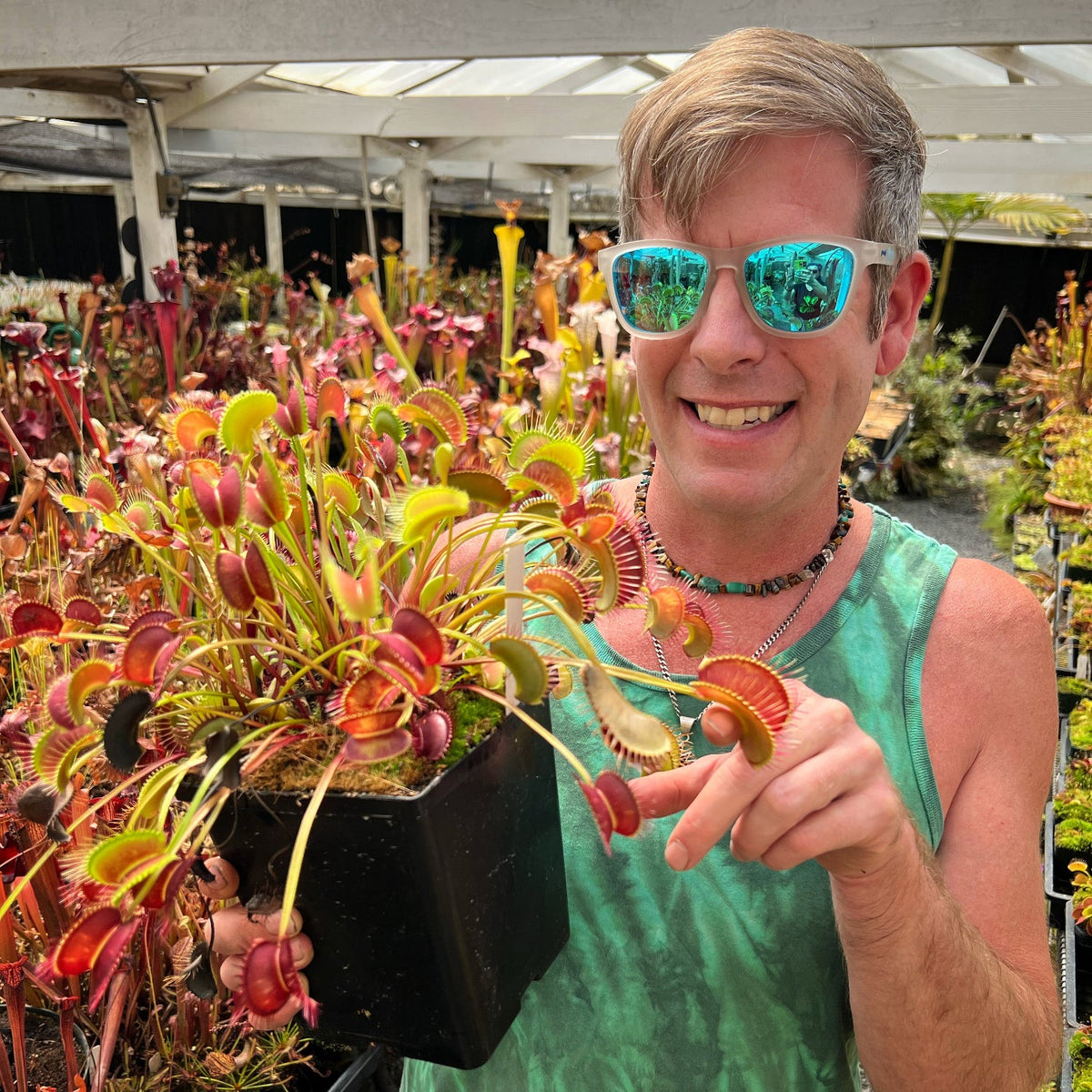 A man in sunglasses and a green tank top holds a large pot of Venus flytraps with very large traps resting on his finger