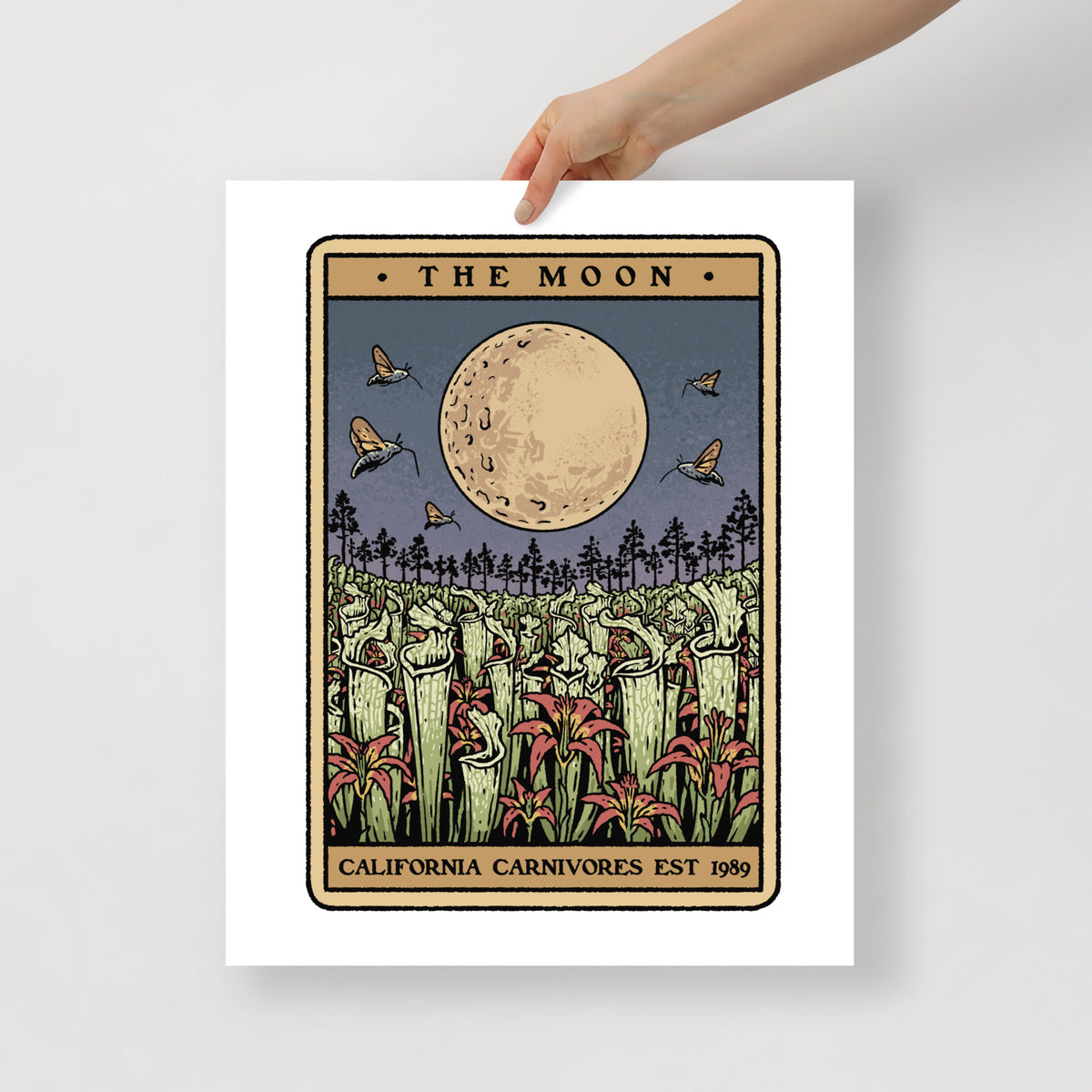 Posters