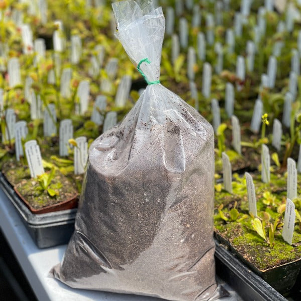 A clear plastic bag filled with professional grade peat and perlite mix, situated next to a tray of carnivorous plant seedlings.