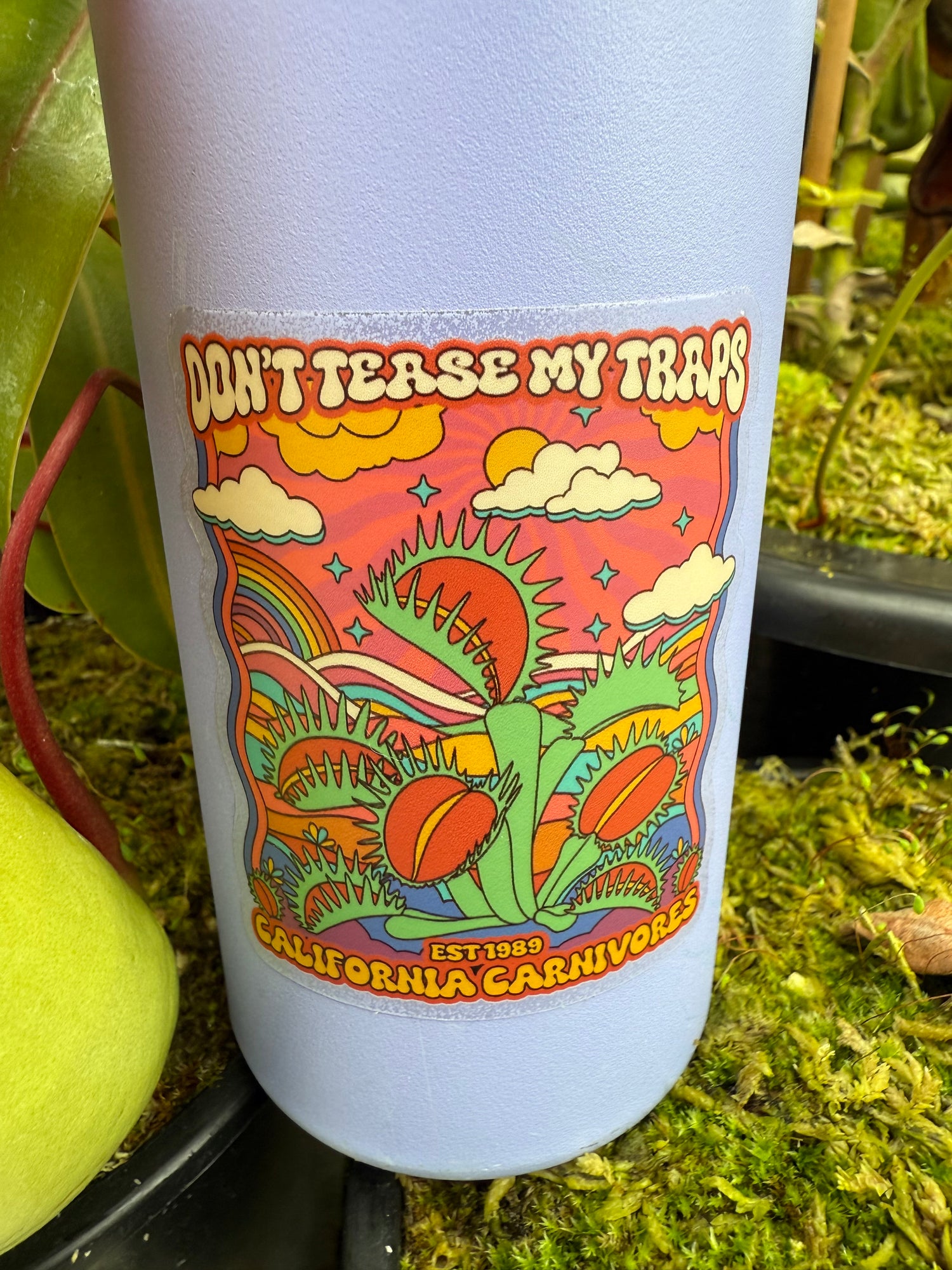 Don’t Tease My Traps Sticker