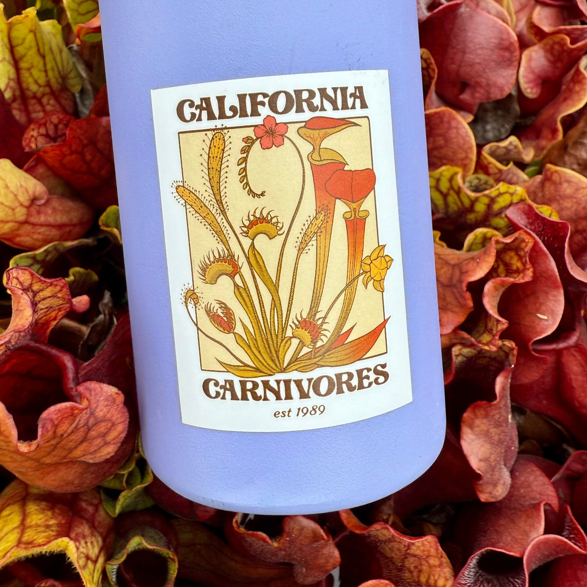 Blue bottle with a label featuring 'California Carnivores' on a background of pitcher plants.
