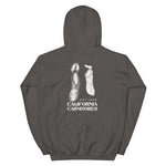 Gray hoodie with white graphic design on the back on a white background