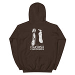 Brown hoodie with white graphic design on the back on a white background