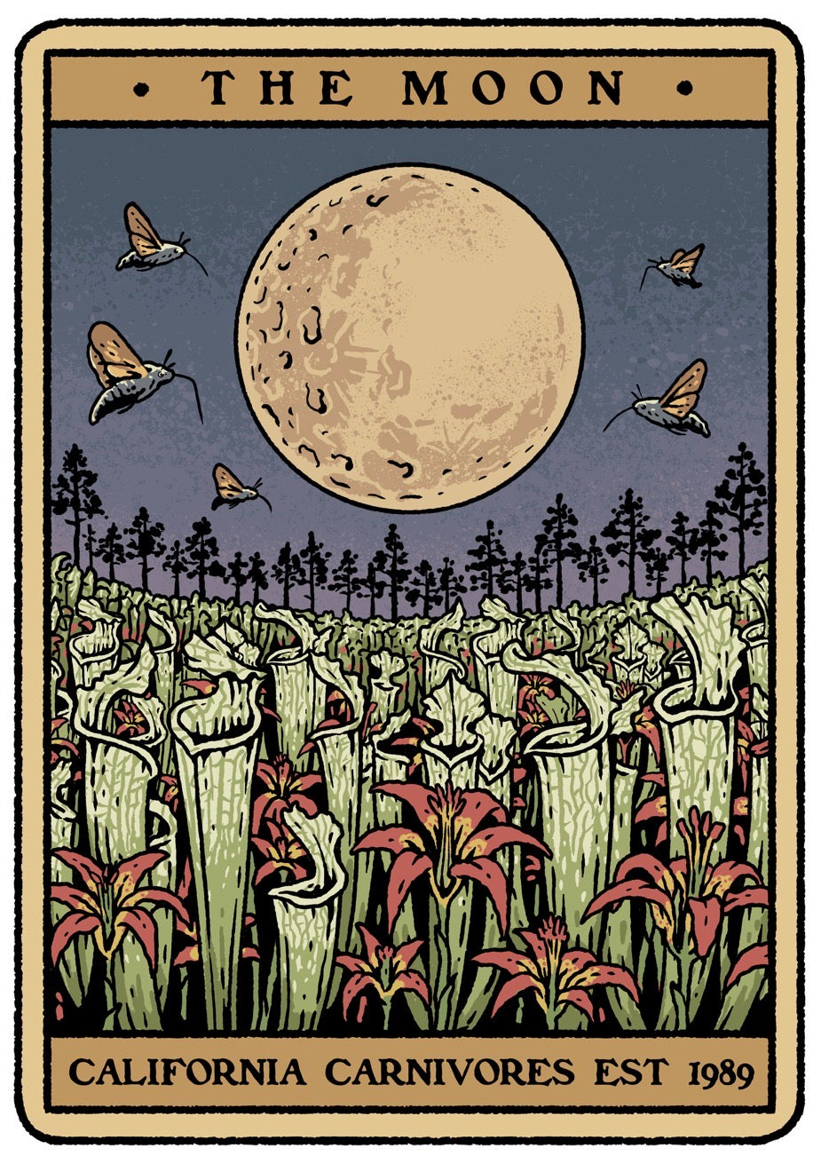 Harvest Moon