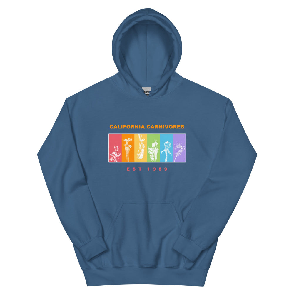 Blue hoodie with colorful graphic and text on a white background