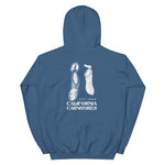 Blue hoodie with white graphic design on the back on a white background