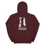 Maroon hoodie with white graphic and text on a white background