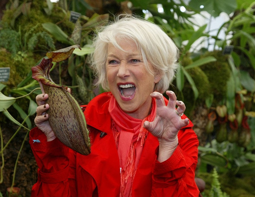 Helen Mirren holds a Nepenthes pitcher and makes a funny face