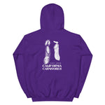 Purple hoodie with white graphic and text on a white background