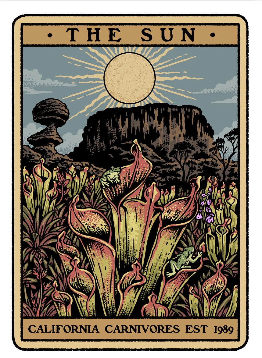Illustration of carnivorous plants with a mountain and sun in the background, labeled 'The Sun' and 'California Carnivores Est 1989'.