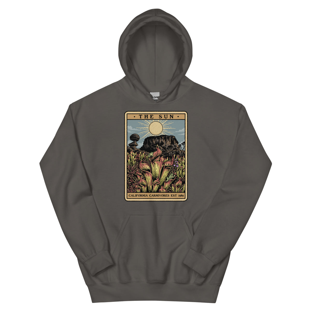 Charcoal Unisex hoodie with a graphic design of Heliamphora as the Sun tarot card