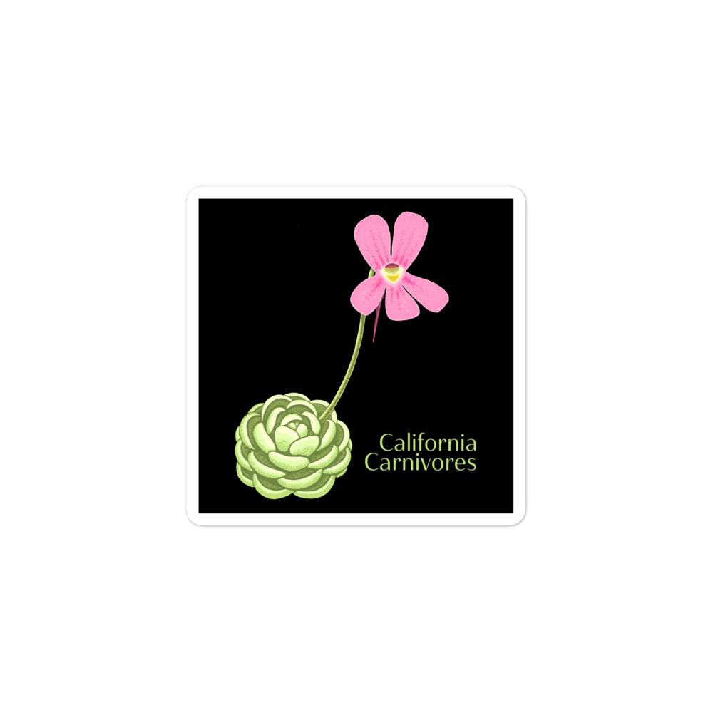 CalCarn Pinguicula Stickers