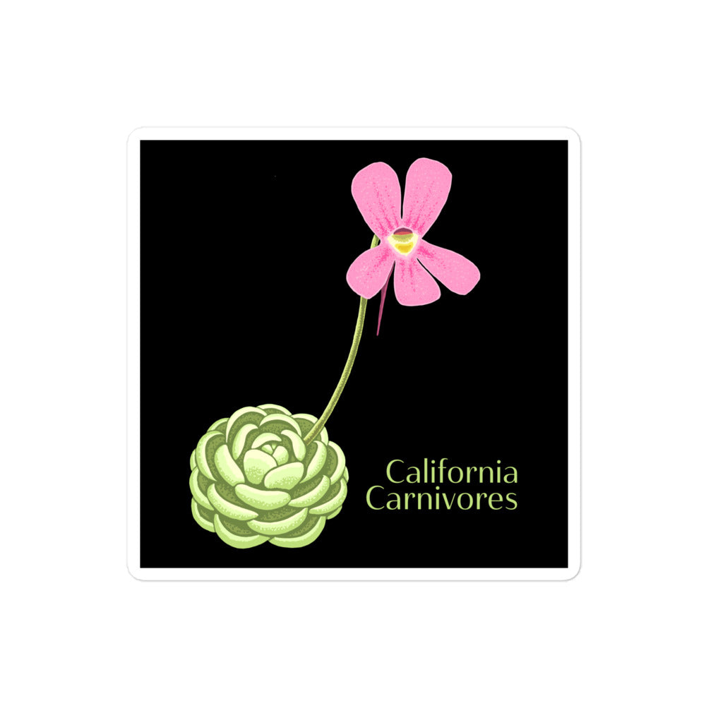 CalCarn Pinguicula Stickers