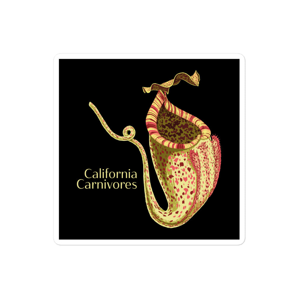 CalCarn Nepenthes Stickers