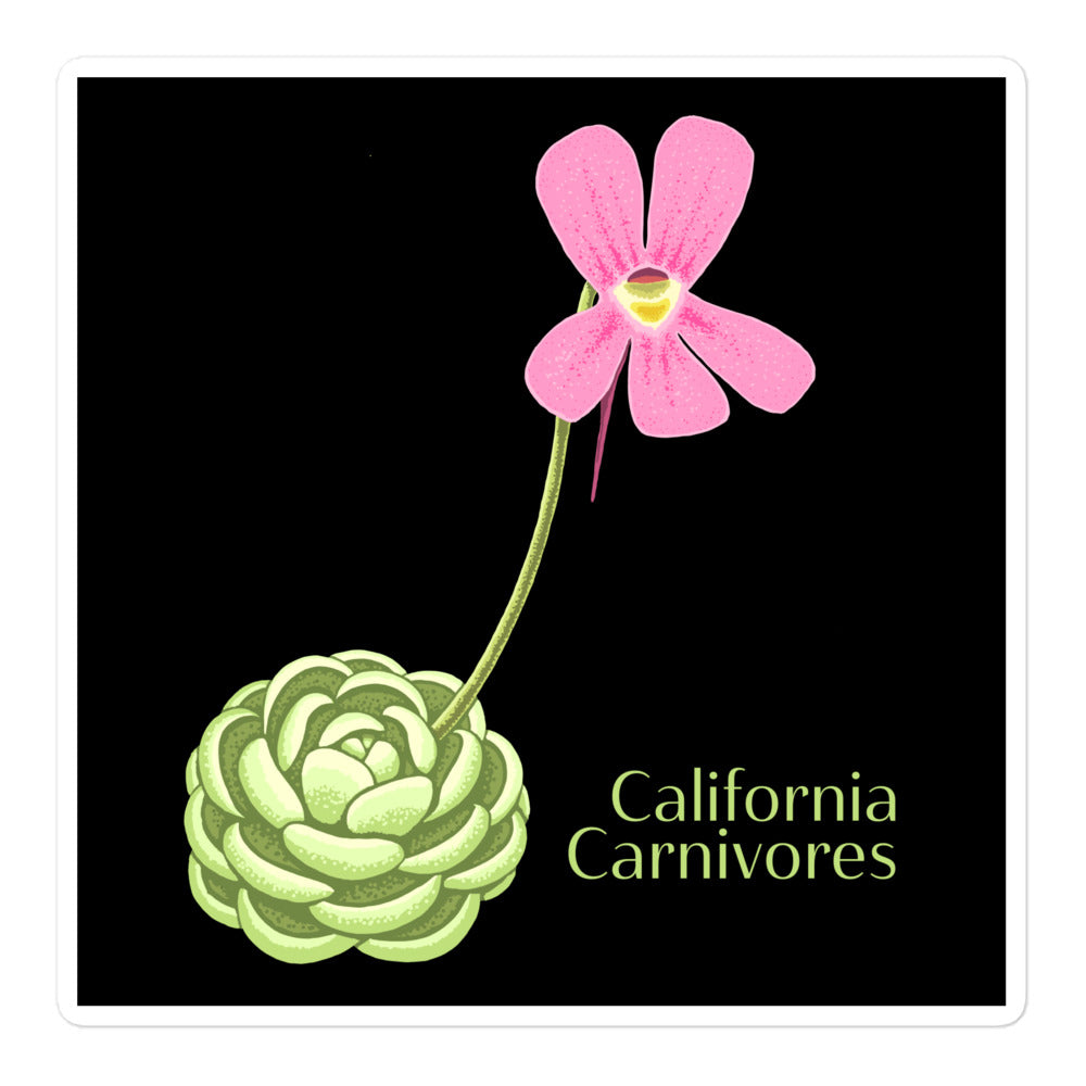 CalCarn Pinguicula Stickers