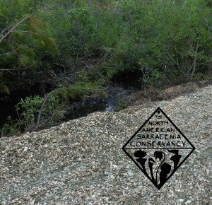 North American Sarracenia Conservancy logo over path in the woods