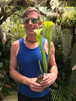 A man wearing a blue tank top and sunglasses holds a tall green pitcher plant in a lush, green indoor garden setting.