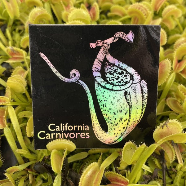 California Carnivores Sticker
